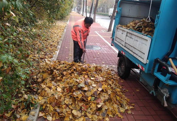 德州环卫：雨后快速清理落叶 保障城区环境卫NG体育平台生